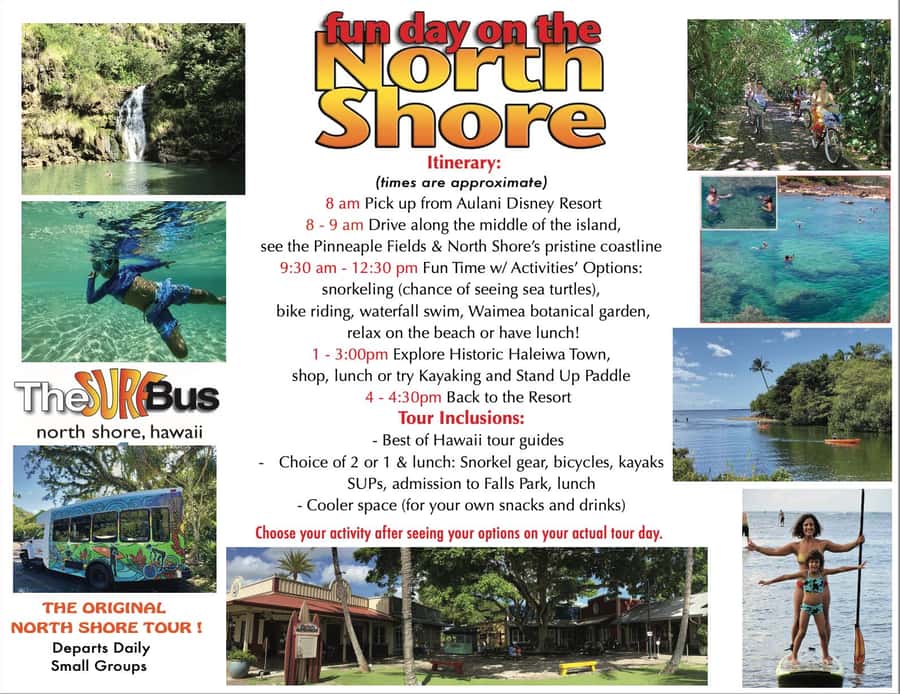 02/03 - 02/09 - Watch Pipeline Surf Challenge ! - Bike Ride Along the Surf Beaches, For Views Without Salt Water