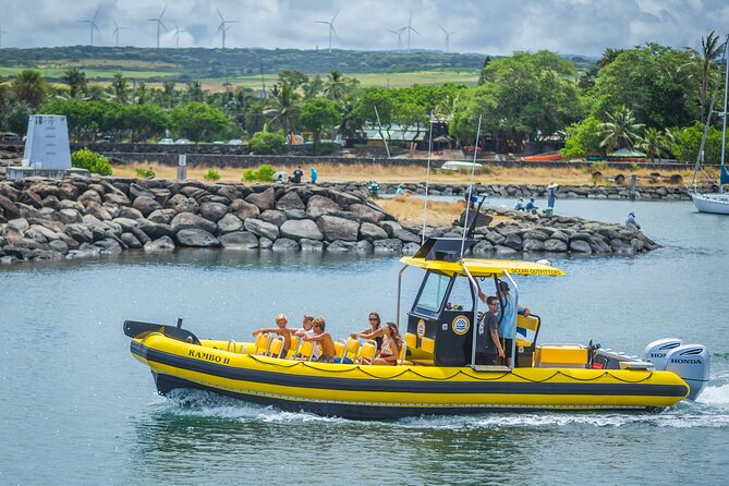 1.5-Hour Guided Whale Watching Tour - Is $99 Worth It for Oahu Whale Watching?