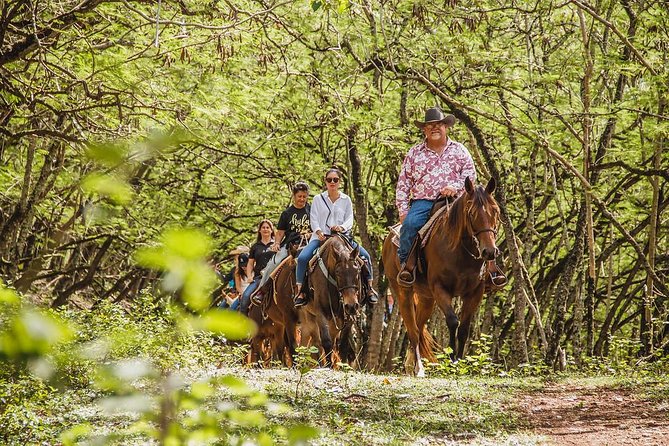 1 Hour Scenic Horseback Ride - Quick highlights before you saddle up