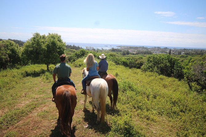 1 Hour Scenic Horseback Ride - Why Gunstock Ranch is such a good place to start horseback riding