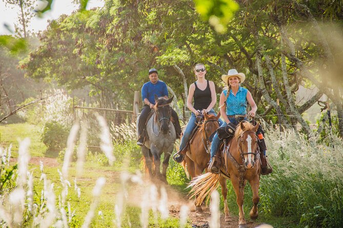 1 Hour Scenic Horseback Ride - Ocean views and the Hawaii 5-0 Hidden Cave moment