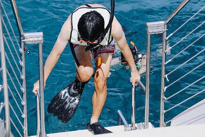 12pm Turtle Canyon Snorkel Adventure - What You’ll Actually See: Sea Turtles, Rays, Fish, and Sometimes More