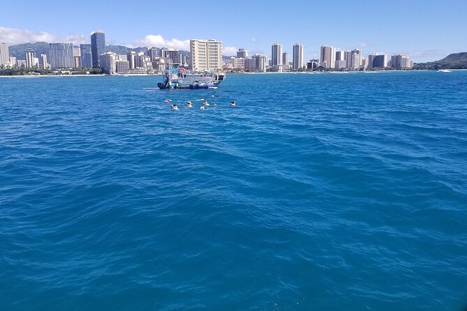 12pm Turtle Canyon Snorkel Adventure - Who This 12pm Turtle Canyon Tour Suits Best