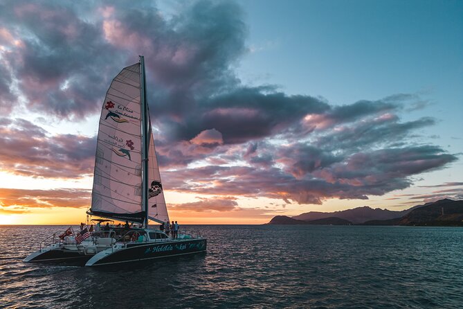 2-Hour Oahu Sunset Catamaran Sail - Check-in flow, what you get right away, and how to show up prepared