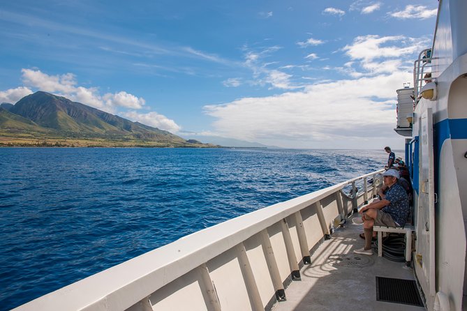 2-Hour Oahu Whale Watch from Ala Wai Harbor, Waikiki - What you’ll actually see during the cruise: Waikiki and Diamond Head from the water