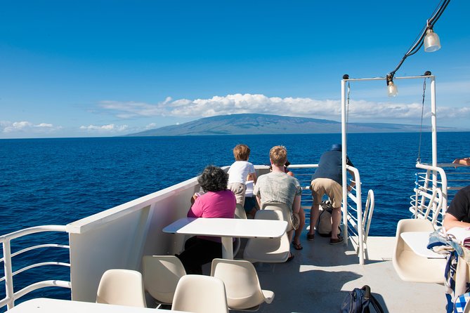 2-Hour Oahu Whale Watch from Ala Wai Harbor, Waikiki - Humpback spotting tips the crew will help you use