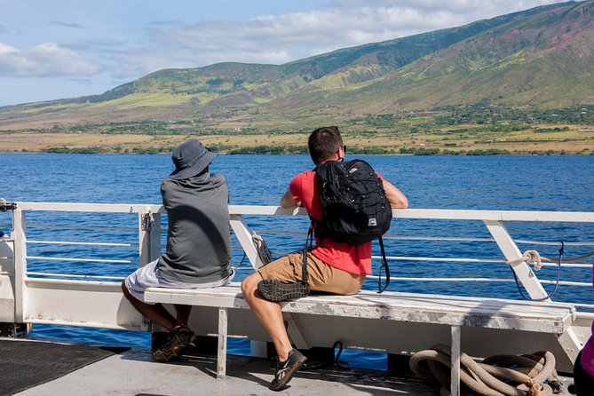 2-Hour Oahu Whale Watch from Ala Wai Harbor, Waikiki - Comfort and seasickness: what to do if the day is choppy