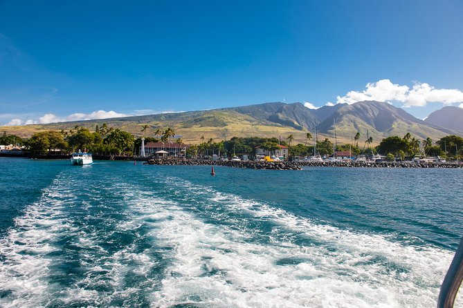 2-Hour Oahu Whale Watch from Ala Wai Harbor, Waikiki - Where the experience shines most: crew energy, spotting effort, and narration