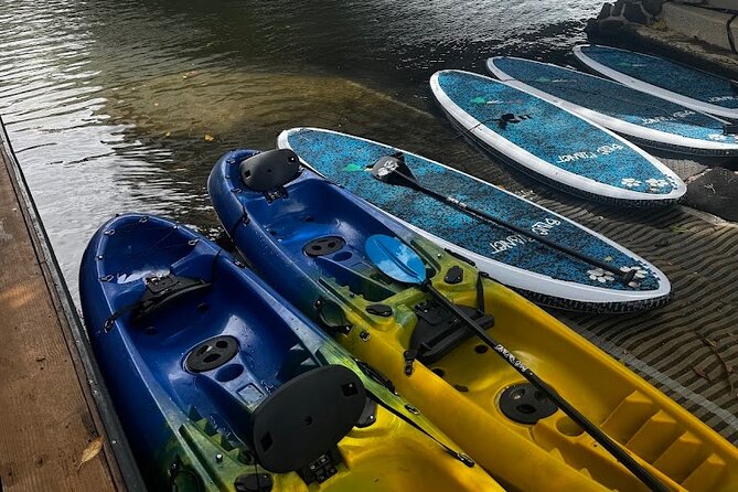 2 hour tandem kayak rental at our private launch area in Hale'iwa - Bring-the-right-stuff comfort: towels, sun, and optional storage