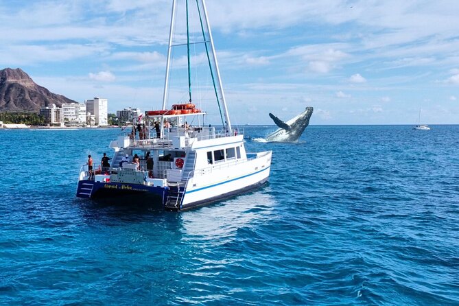 2 Hour Waikiki Whale Watching Cruise from Oahu - Key things that make this whale cruise worth your time