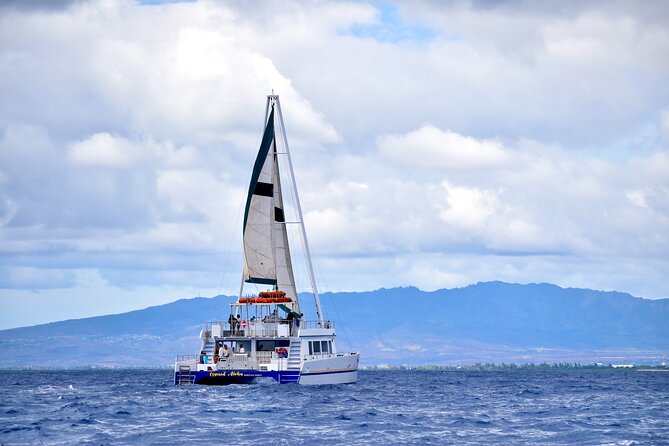 2 Hour Waikiki Whale Watching Cruise from Oahu - Waikiki Beach pass: where scenery meets whale spotting