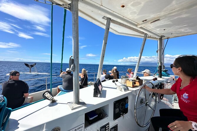 2 Hour Waikiki Whale Watching Cruise from Oahu - Boat layout that helps you find wildlife (even when it’s far)