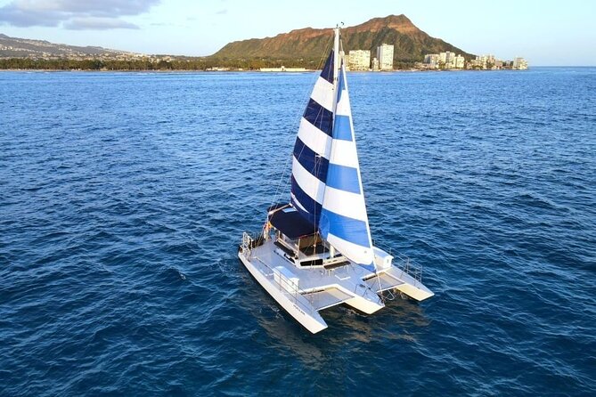 2 Hour Waikiki Whale Watching in Honolulu - Why This Waikiki Whale Watch Feels Built for Real Whale Spotting