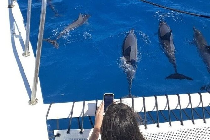 2 Hour Waikiki Whale Watching in Honolulu - Crew Spotting Tips, Music, and the Art of Not Missing the Moment