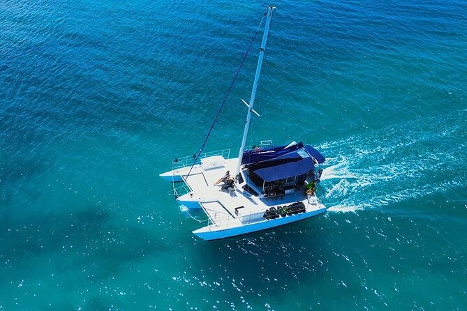 2 Hour Waikiki Whale Watching in Honolulu - Small Group Comfort: Max 35 Travelers on a Whale-Seeking Boat