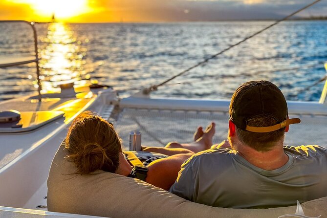 2hr Luxury Private Sailing Catamaran for 7-12 People - Wildlife viewing plan: turtles, dolphins, fish, and humpback season