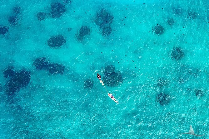 2hr Luxury Private Sailing Catamaran for 7-12 People - Time to swim, relax in the nets, and control the vibe