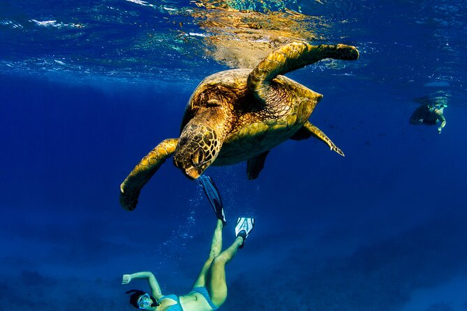2hr Luxury Private Sailing Catamaran in Waikiki for 1-6 People - Value math: $1,150 per group, and what you really pay for