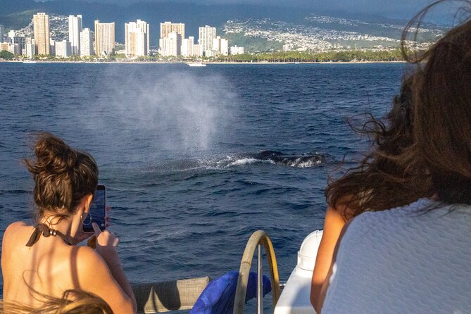 2hr Luxury Private Sailing Catamaran in Waikiki for 1-6 People - Waikiki stop, snorkeling timing, and Friday-night fireworks from the water