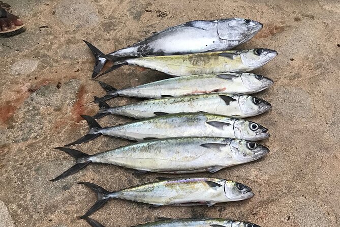 3-Hour Fishing Trip in Waikiki - Key points to know before you go