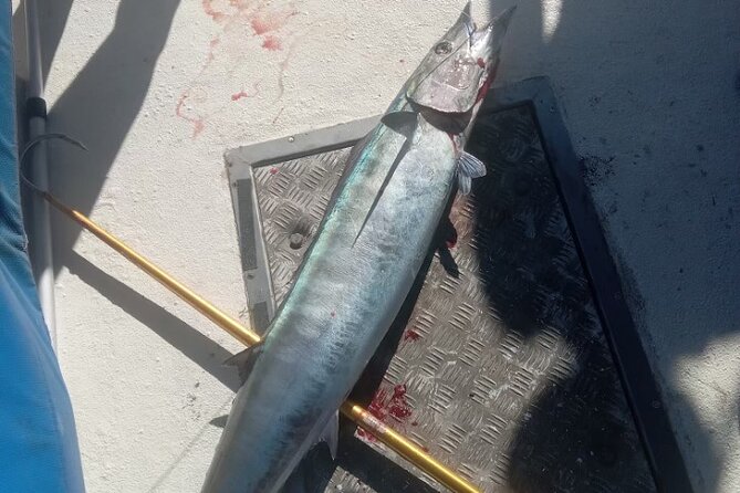 3-Hour Fishing Trip in Waikiki - Family-Friendly Fishing That Still Works for Beginners
