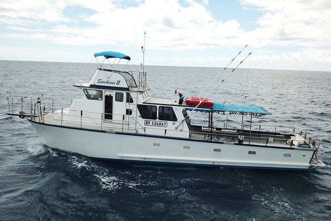 3-Hour Honolulu Bottom Fishing Adventure - Meeting at Ohana Fun Fishing, Then Heading Out With the 11:00 am Group
