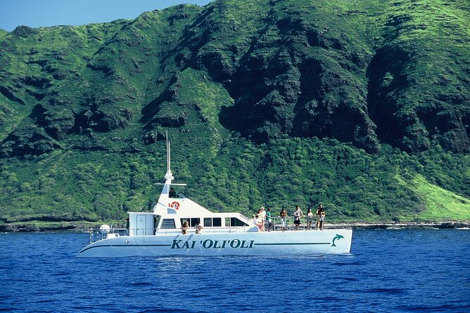 3 Zipline Adventure and 3.5 hour Afternoon Snorkel Cruise - Small-group feel: where max 11 actually helps