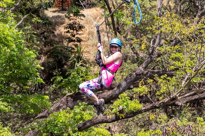 3 Zipline Adventure with Waikiki Transportation - Waikiki timing that actually feels relaxed