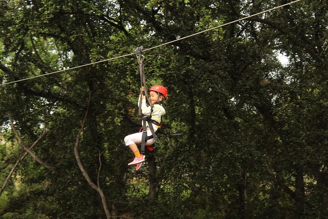 3 Zipline Adventure with Waikiki Transportation - Safety training and gear: the boring part that makes it fun