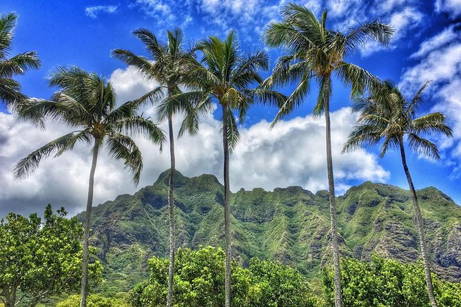 4 Hour Half Day Island Jeep Tour - Who Should Book This, and Who Should Skip It