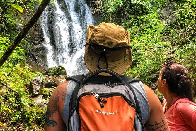 5 Hour Romantic Hawaii Jeep Tour - Timing and Waikiki pickup: the “easy morning” part