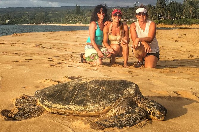 8 Hour Circle Island Jeep Tour - East Oahu Coast Highlights: Portlock to Halona Blowhole