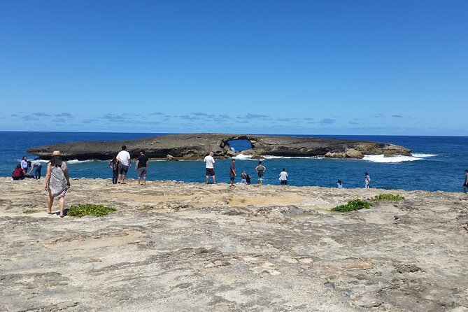 8-Hour Luxury Four Door Convertible Tour of Oahu's South and North Shores - Shark’s Cove snorkeling and the surf-lovers’ stop at Banzai Pipeline