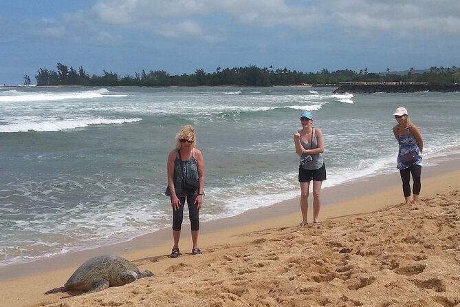 8-Hour Luxury Four Door Convertible Tour of Oahu's South and North Shores - Ted’s Bakery chocolate haupia and the oceanfront pause at Turtle Bay