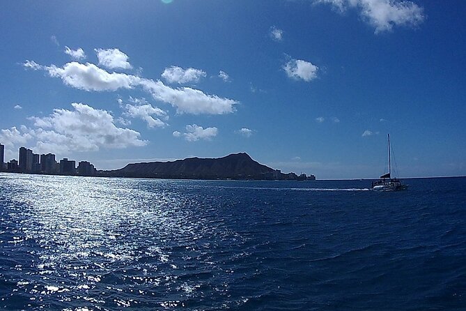 9am Turtle Canyon Snorkel Adventure - Best day for this tour: when the ocean is your friend