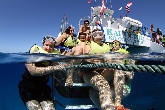 All-Inclusive Sunset Dolphin Watch and Snorkeling Cruise - Key highlights worth caring about