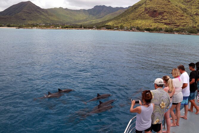 All-Inclusive Sunset Dolphin Watch and Snorkeling Cruise - Post-snorkel refresh: showers, hot buffet dinner, and drinks