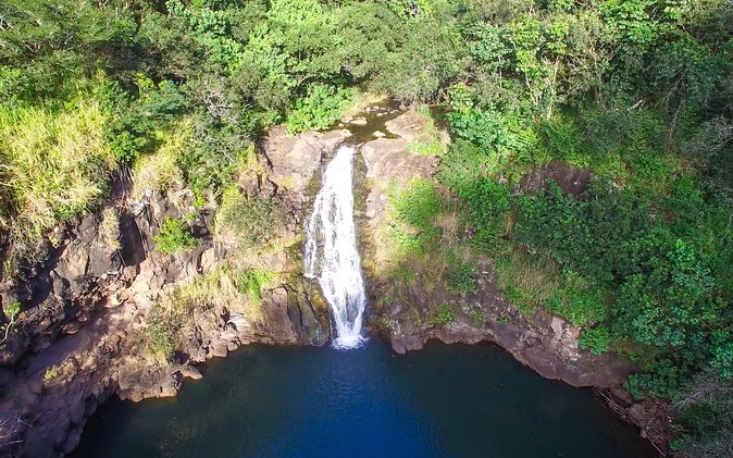 All Inclusive Ultimate Circle Island Tour, Waimea Falls & Lunch - All-Inclusive Value on Oahu: what $156.02 covers (and why it matters)