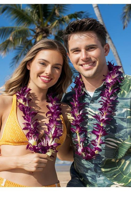 Arrival Lei Greeting --HNL to Waikiki Private Transfer - Who This Private Transfer Fits Best