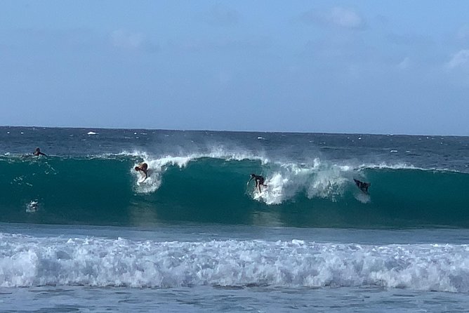 Beaches, Food & Aloha: Private Oahu Tour - Turtle Beach at Laniakea: where seeing wildlife becomes a lesson