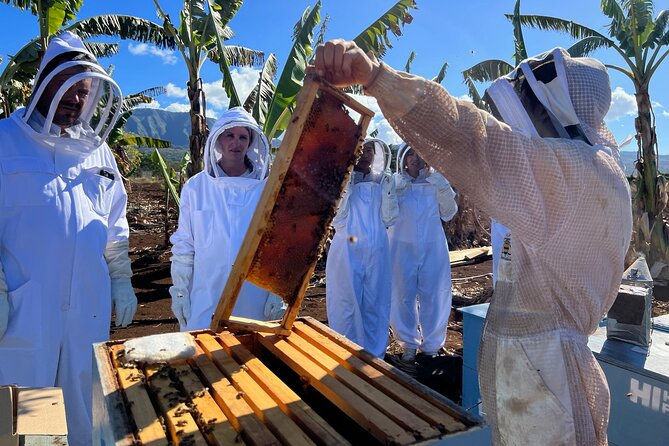 Bee Farm Ecotour and Honey Tasting in Waialua, North Shore Oahu - Holding a frame of raw honeycomb: the moment that makes it memorable