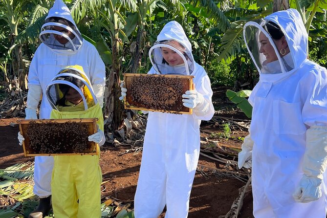 Bee Farm Ecotour and Honey Tasting in Waialua, North Shore Oahu - Price and value: is $135 worth it?