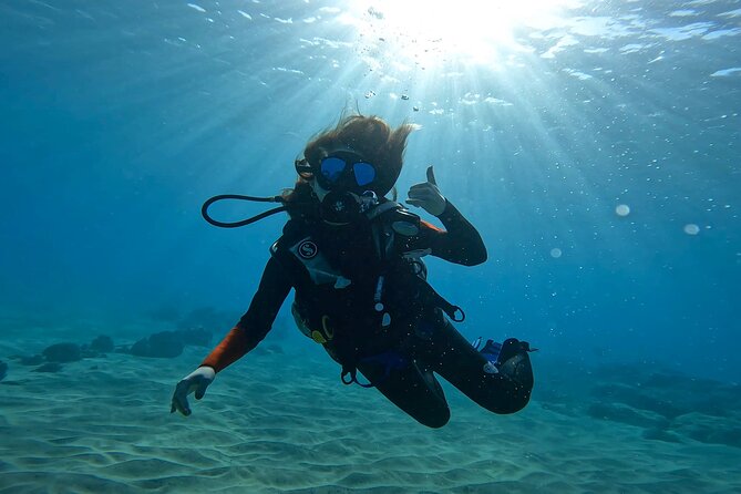 Beginner Scuba Diving Experience with Video Package in Honolulu - Logistics that can make or break your day