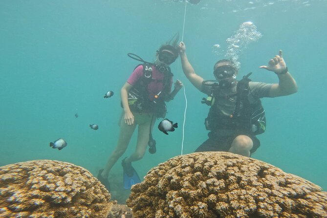 Beginner Scuba Diving Experience with Video Package in Honolulu - Who should book this and who might want a different plan