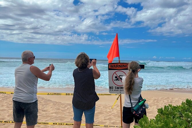 Best of Oahu Full-Day Small-Group Island Tour - Pickup, Van Time, and What Small-Group Really Means