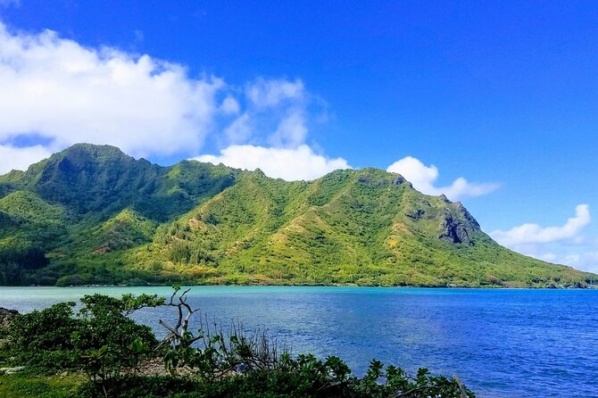 Best of Oahu Full-Day Small-Group Island Tour - Turtle Beach Stop: Gorgeous, but Not Guaranteed