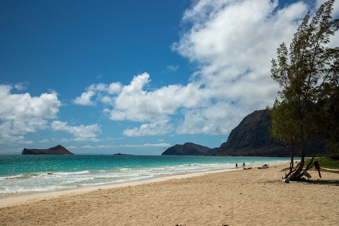 Best Of Oahu: Grand Circle Island Small Group Tour From Waikiki - Dole Plantation and the King Kamehameha Statue Finale