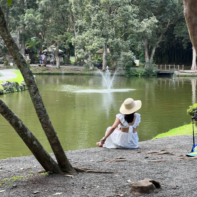 Best of Oahu in One Day - Coffee farm stop: the day’s calm, tasty closer