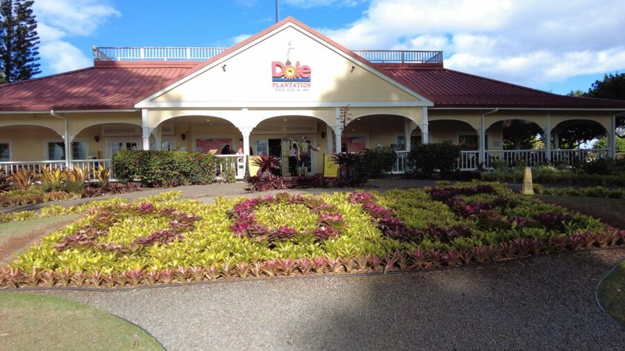 Best of Oahu in One Day - Pickup, timing, and the “no-rush” rhythm