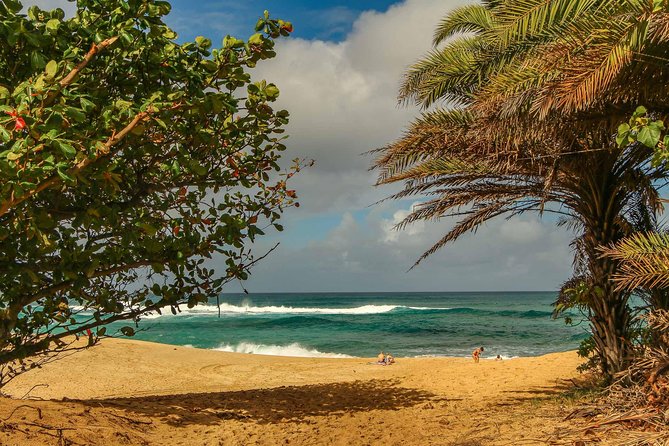 Best of Oahu: Pearl Harbor & Oahu Circle Island Tour from Waikiki - Downtown Honolulu drive-through: Kamehameha and Iolani Palace from the road